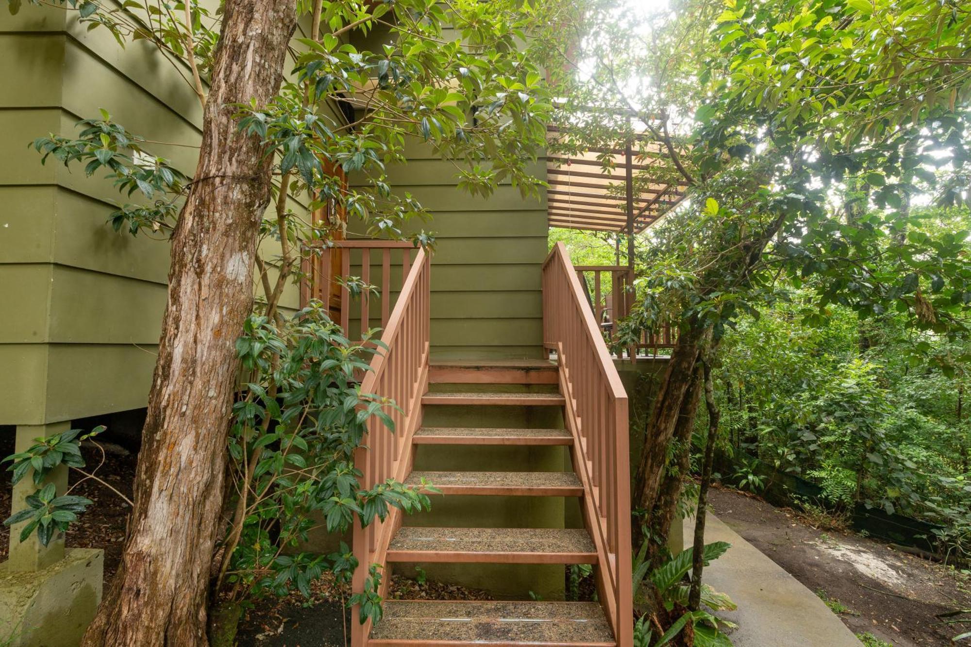 Casas Clusia Appartement Monteverde Buitenkant foto